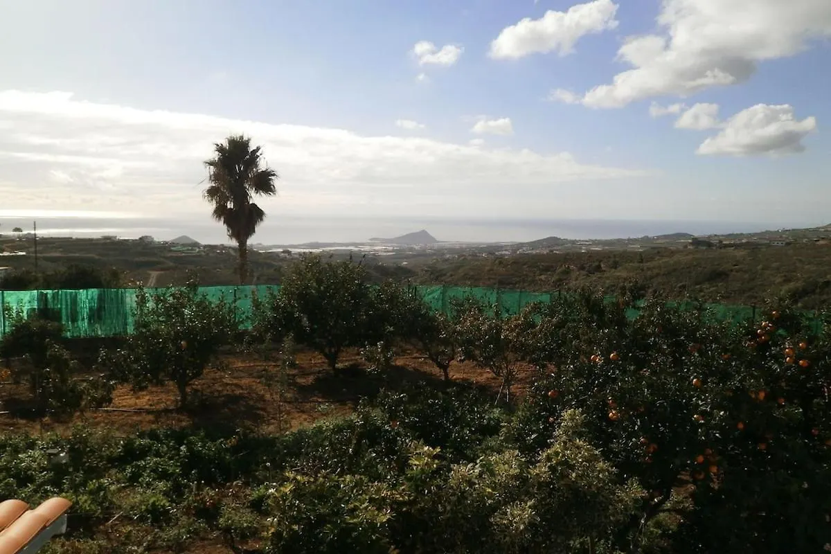 Orchard Cottage Granadilla De Abona Apartamento